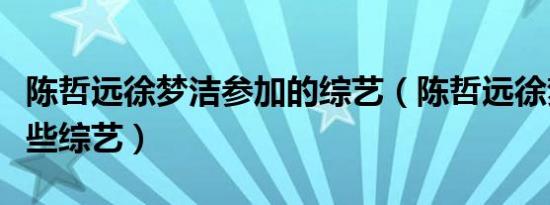 陈哲远徐梦洁参加的综艺（陈哲远徐梦洁有哪些综艺）