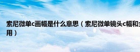 索尼微单c画幅是什么意思（索尼微单镜头c幅和全幅是否通用）