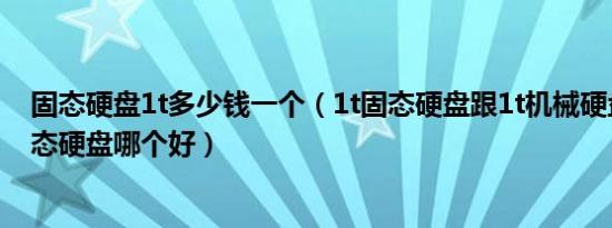 固态硬盘1t多少钱一个（1t固态硬盘跟1t机械硬盘加256固态硬盘哪个好）