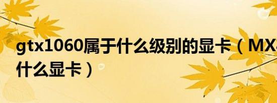 gtx1060属于什么级别的显卡（MX455属于什么显卡）