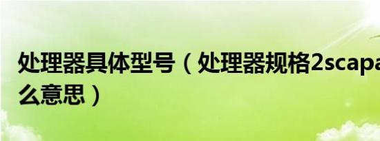 处理器具体型号（处理器规格2scapability什么意思）