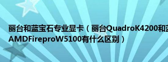 丽台和蓝宝石专业显卡（丽台QuadroK4200和蓝宝石PGSAMDFireproW5100有什么区别）