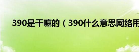 390是干嘛的（390什么意思网络用语）