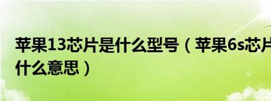 苹果13芯片是什么型号（苹果6s芯片8000是什么意思）