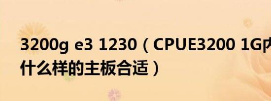 3200g e3 1230（CPUE3200 1G内存配个什么样的主板合适）