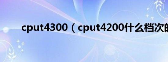 cput4300（cput4200什么档次的）