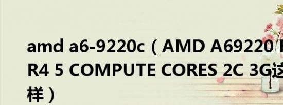 amd a6-9220c（AMD A69220 RADEON R4 5 COMPUTE CORES 2C 3G这CPU怎么样）