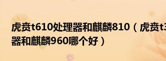 虎贲t610处理器和麒麟810（虎贲t310处理器和麒麟960哪个好）