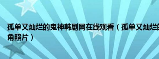 孤单又灿烂的鬼神韩剧网在线观看（孤单又灿烂的鬼神女主角照片）