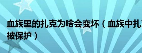 血族里的扎克为啥会变坏（血族中扎克为什么被保护）