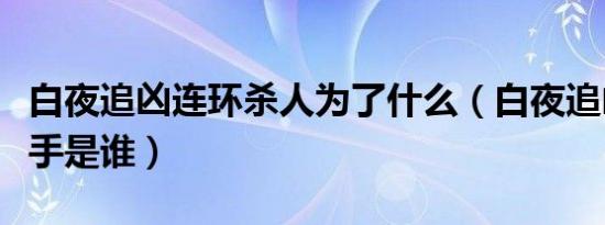 白夜追凶连环杀人为了什么（白夜追凶连环杀手是谁）