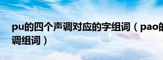 pu的四个声调对应的字组词（pao的四个声调组词）