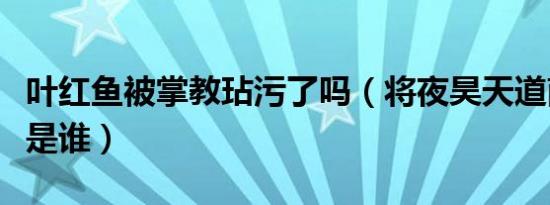 叶红鱼被掌教玷污了吗（将夜昊天道南门掌教是谁）