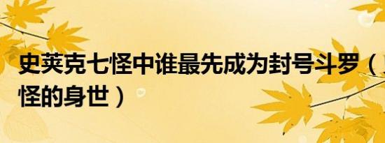 史荚克七怪中谁最先成为封号斗罗（史洛克七怪的身世）