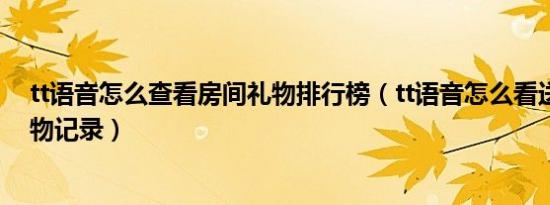 tt语音怎么查看房间礼物排行榜（tt语音怎么看送出去的礼物记录）