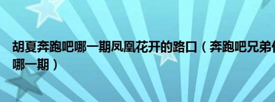 胡夏奔跑吧哪一期凤凰花开的路口（奔跑吧兄弟任贤齐胡夏哪一期）