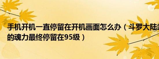 手机开机一直停留在开机画面怎么办（斗罗大陆武魂殿中谁的魂力最终停留在95级）