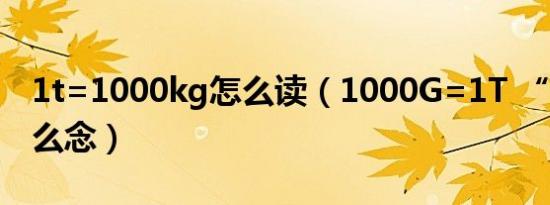 1t=1000kg怎么读（1000G=1T “T”字怎么念）