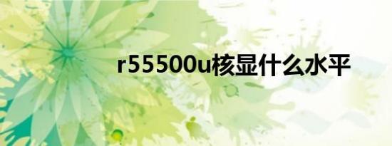 r55500u核显什么水平