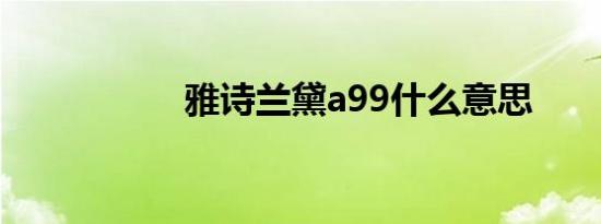 雅诗兰黛a99什么意思