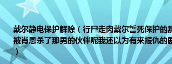 戴尔静电保护解除（行尸走肉戴尔誓死保护的那个男的最终被肖恩杀了那男的伙伴呢我还以为有来报仇的剧情反而瑞克）