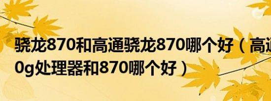 骁龙870和高通骁龙870哪个好（高通骁龙870g处理器和870哪个好）