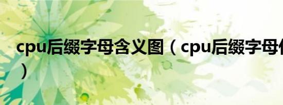 cpu后缀字母含义图（cpu后缀字母代表意思）