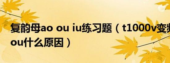 复韵母ao ou iu练习题（t1000v变频器显示ou什么原因）