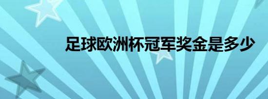 足球欧洲杯冠军奖金是多少