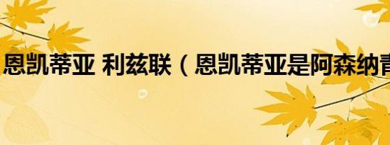 恩凯蒂亚 利兹联（恩凯蒂亚是阿森纳青训吗）