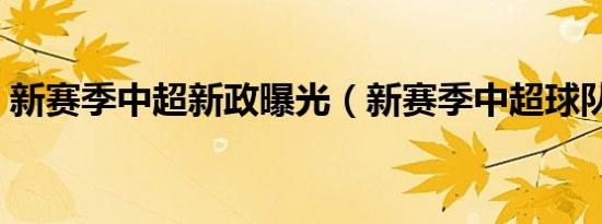 新赛季中超新政曝光（新赛季中超球队名单）