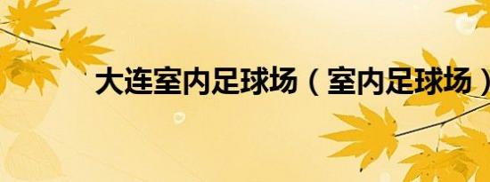 大连室内足球场（室内足球场）