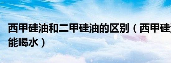 西甲硅油和二甲硅油的区别（西甲硅油后能不能喝水）