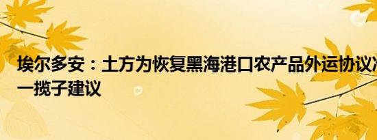 埃尔多安：土方为恢复黑海港口农产品外运协议准备了新的一揽子建议