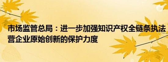 市场监管总局：进一步加强知识产权全链条执法，加大对民营企业原始创新的保护力度