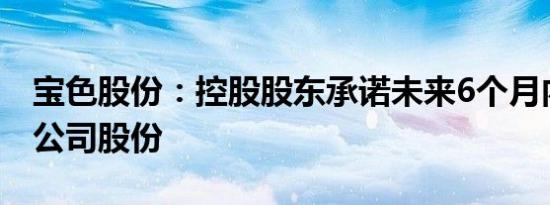 宝色股份：控股股东承诺未来6个月内不减持公司股份