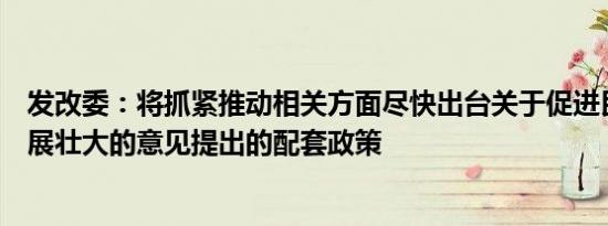 发改委：将抓紧推动相关方面尽快出台关于促进民营经济发展壮大的意见提出的配套政策