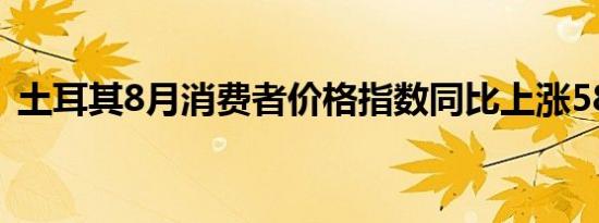 土耳其8月消费者价格指数同比上涨58.94%