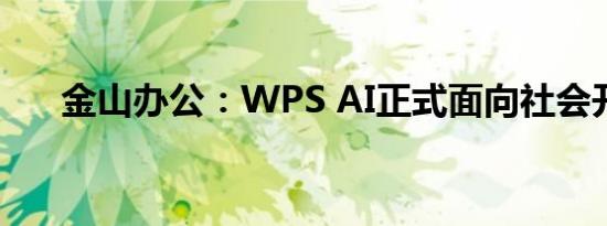 金山办公：WPS AI正式面向社会开放