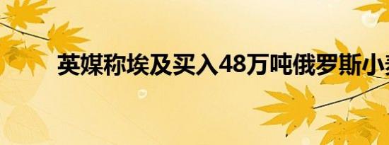 英媒称埃及买入48万吨俄罗斯小麦