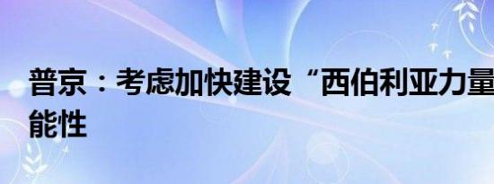 普京：考虑加快建设“西伯利亚力量2”的可能性