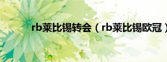 rb莱比锡转会（rb莱比锡欧冠）