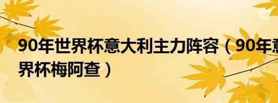 90年世界杯意大利主力阵容（90年意大利世界杯梅阿查）