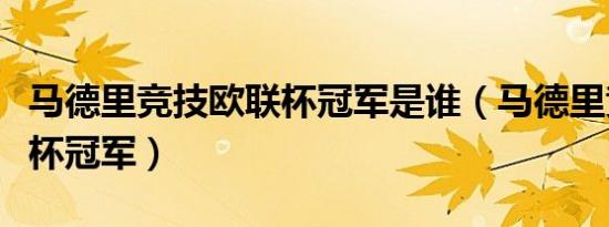 马德里竞技欧联杯冠军是谁（马德里竞技欧联杯冠军）