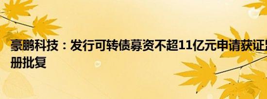 豪鹏科技：发行可转债募资不超11亿元申请获证监会同意注册批复