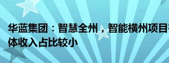 华蓝集团：智慧全州，智能横州项目在公司整体收入占比较小