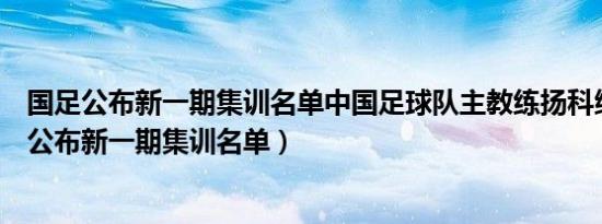 国足公布新一期集训名单中国足球队主教练扬科维奇（国足公布新一期集训名单）