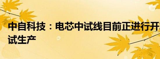 中自科技：电芯中试线目前正进行开发验证和试生产