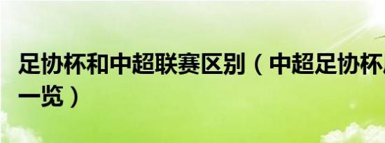 足协杯和中超联赛区别（中超足协杯历届冠军一览）