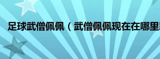 足球武僧佩佩（武僧佩佩现在在哪里踢球）